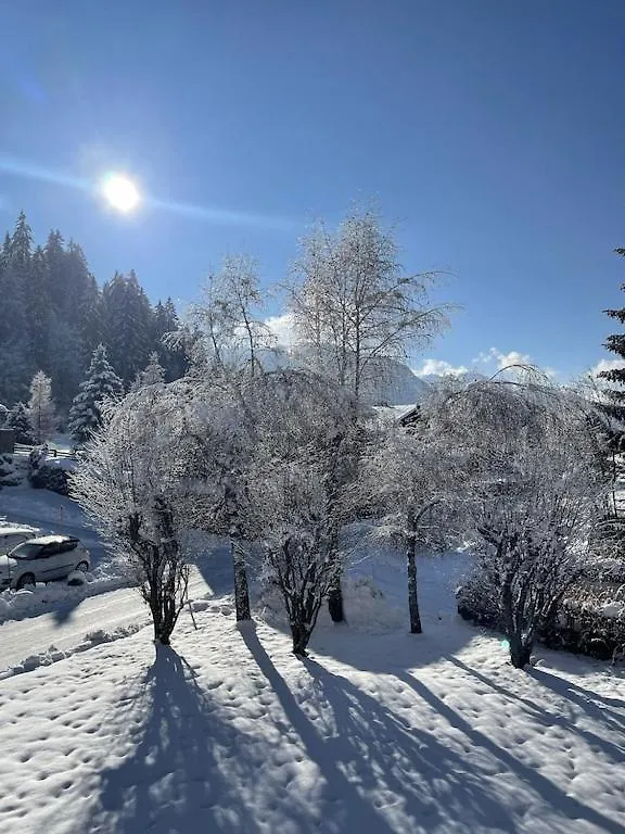 Megeve -White Aster- Charming Renovated Apartment